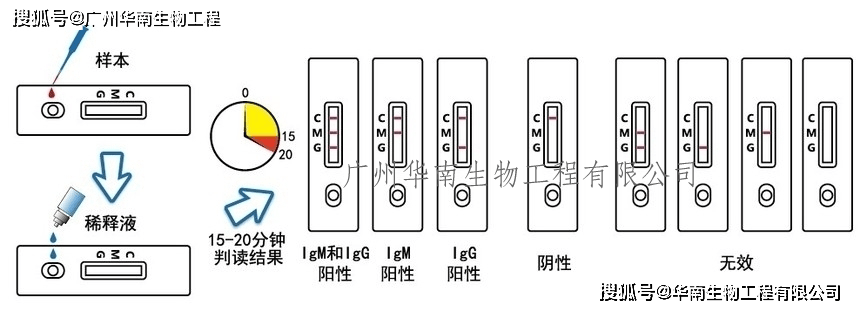 皇冠信用網登1_登革病毒NS1抗原检测卡