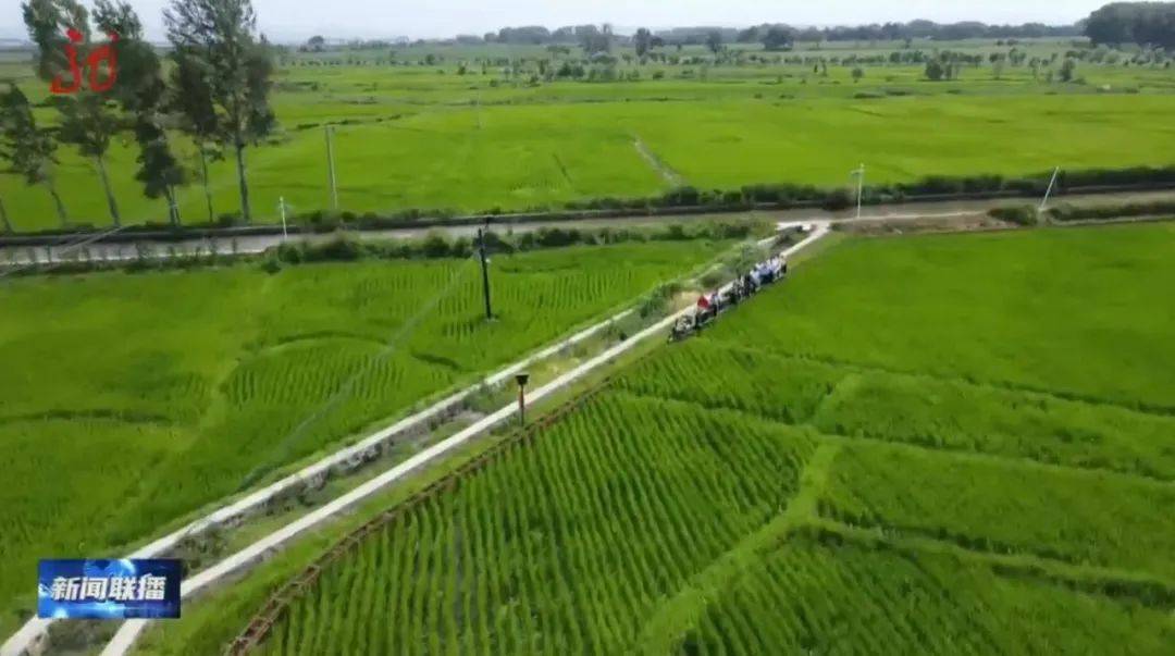 皇冠信用网如何注册_【龙视新闻联播】黑土地上的“私人定制”