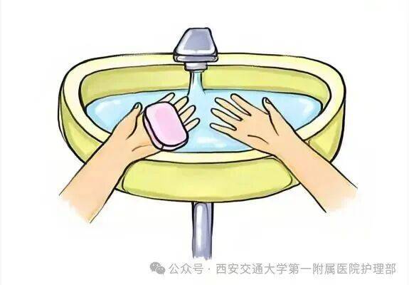 皇冠信用盘_西安多区发现隐翅虫?千万别拍皇冠信用盘!毒液堪比硫酸