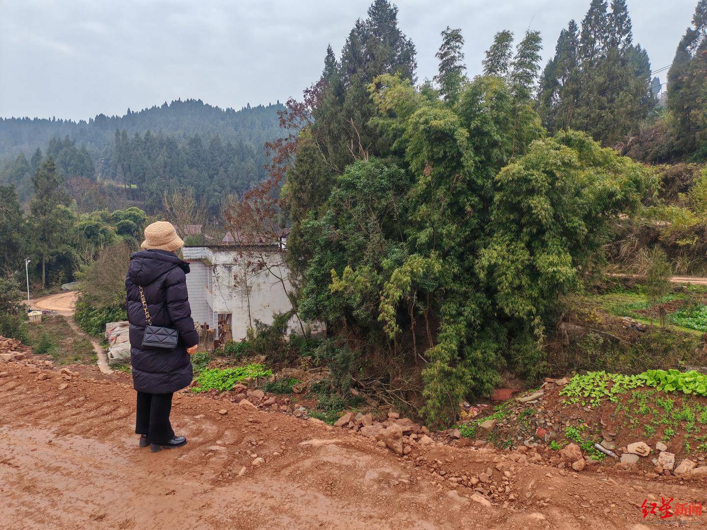 新2网_南充一村庄村民房屋因建高速路拆迁新2网，至今未找到新宅基地建房 官方回应