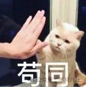 皇冠信用网代理_要结婚了皇冠信用网代理？恋情居然瞒了整整六年......