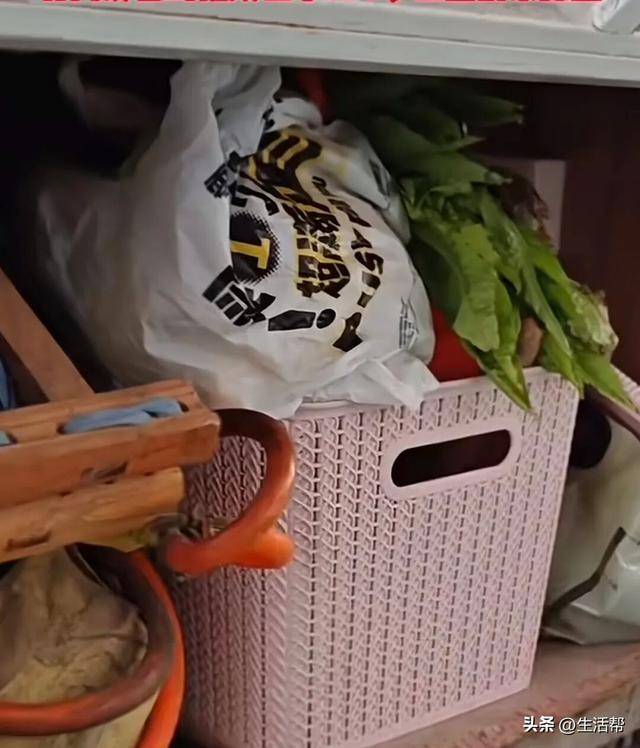 皇冠代理网址
_山东一家三口春节返乡途中突生变故皇冠代理网址
,车辆抛锚,患病儿子离世,父亲:感谢服务区送菜捐款,想赶紧修车回家给孩子处理后事