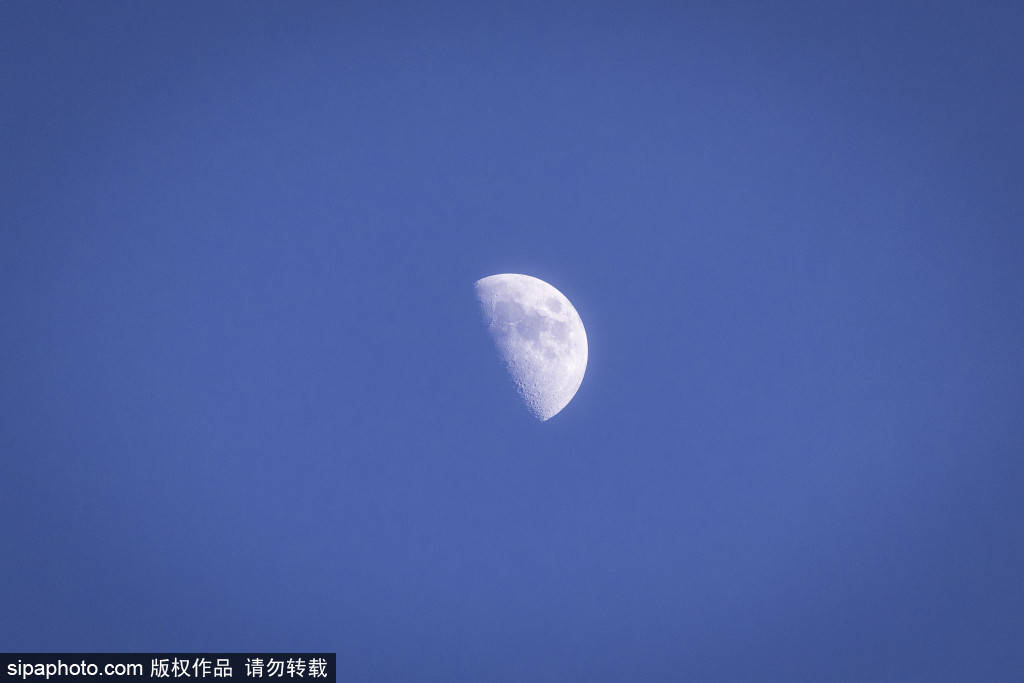 世界盃官網
_惊天爆料!西罗·洛佩斯:穆里尼奥赛季末将重返皇马世界盃官網
,救赎伯纳乌“姆巴佩时代”的沉沦?