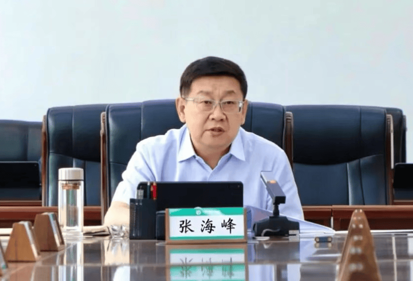 世界盃開戶_涉嫌严重违纪违法世界盃開戶，张海峰被查