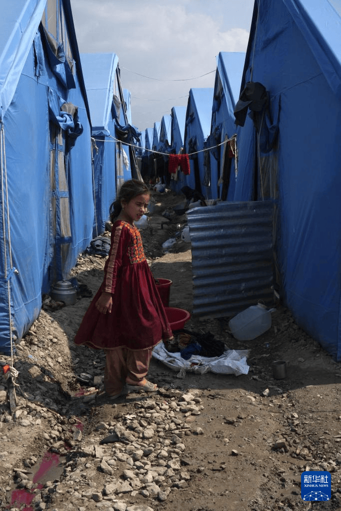 皇冠信用網登3代理注册_中国驻阿富汗大使馆赴阿地震灾区慰问