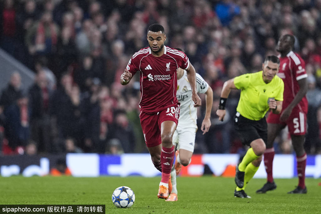 布拉格斯拉维亚 vs 阿森纳_欧冠-麦卡利斯特一击致命 利物浦1-0送皇马赛季第2败